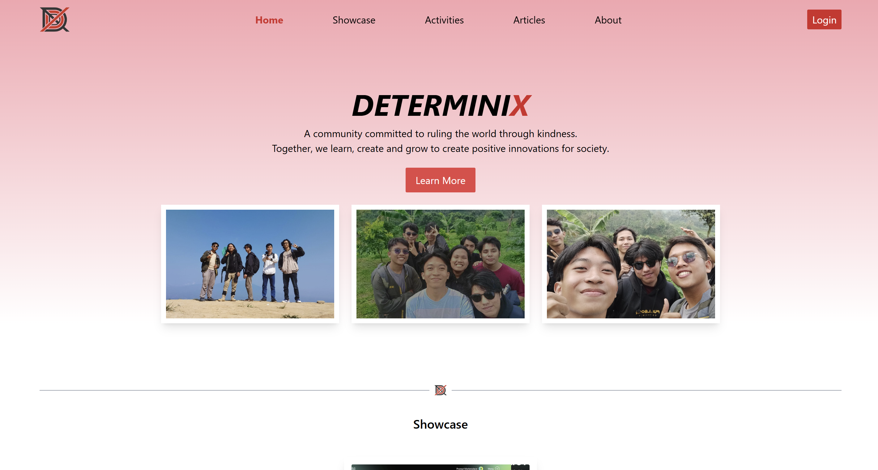 DeterminiX Organization